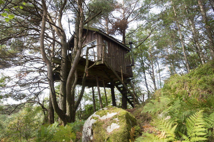treehouse-rentals-washington