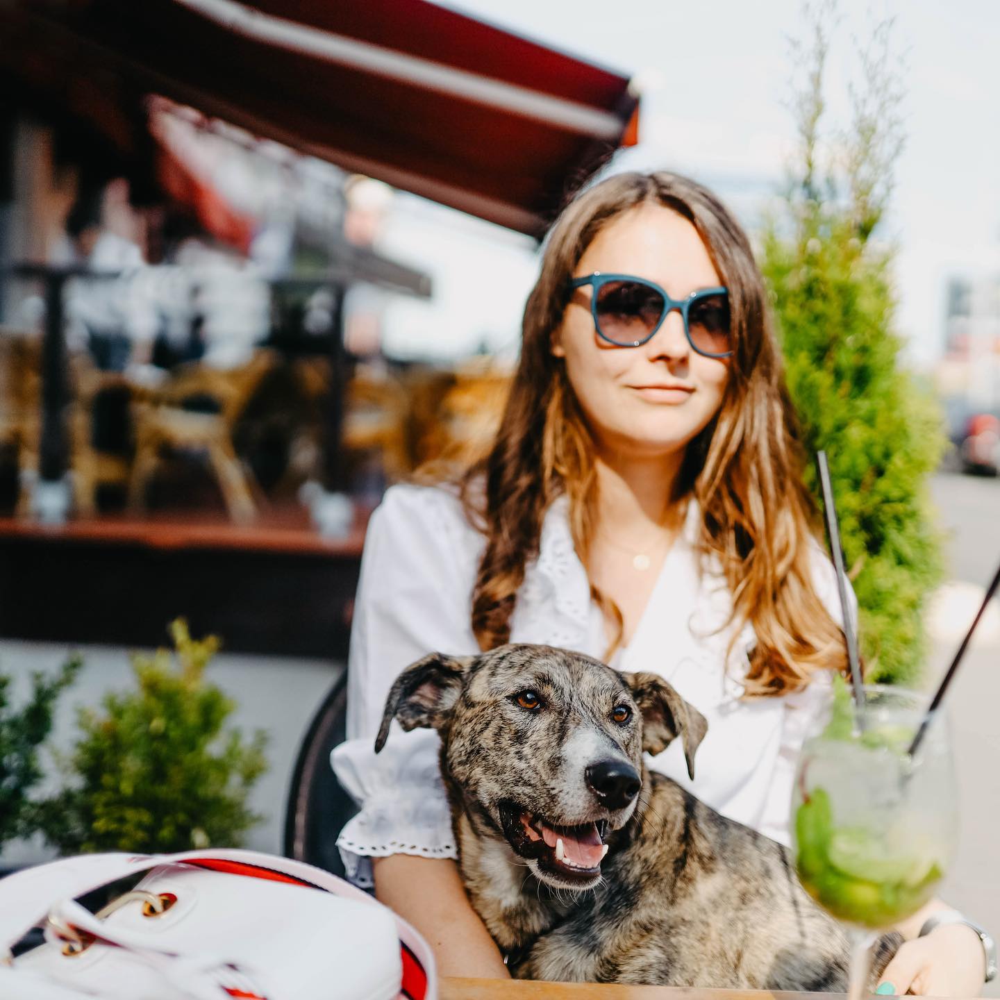 Pet-Friendly Restaurants in Washington 🐶 Opting to dine out no longer means that you have to spend a chunk of your day away from your pup—at least not at one of Washington’s many pet-friendly restaurants. Check out some of Washington’s best pet-friendly dining establishments at FabulousWashington.com.